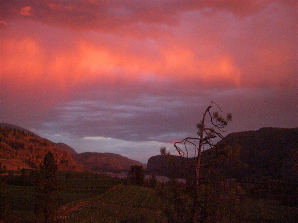 Bighorn Ridge Guesthouse Okanagan Falls Εξωτερικό φωτογραφία