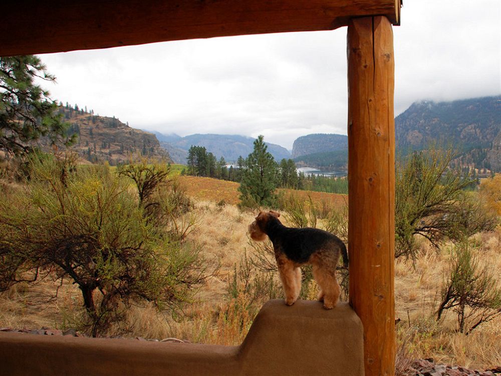 Bighorn Ridge Guesthouse Okanagan Falls Εξωτερικό φωτογραφία