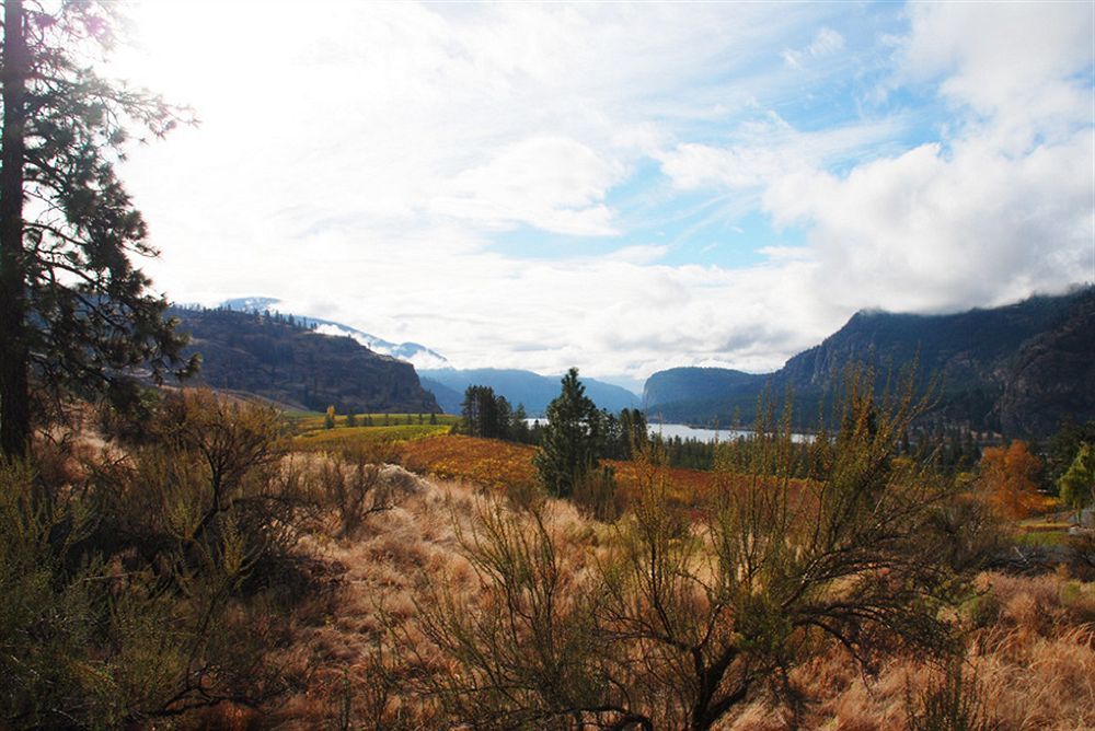 Bighorn Ridge Guesthouse Okanagan Falls Εξωτερικό φωτογραφία