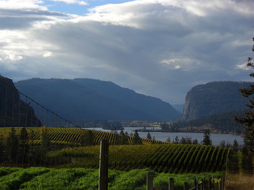 Bighorn Ridge Guesthouse Okanagan Falls Εξωτερικό φωτογραφία